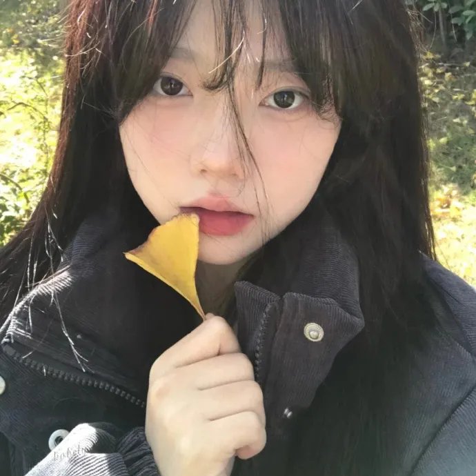 那年青春我们正好
